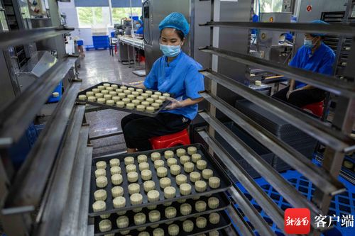 中秋月饼飘香忙 海口食品厂开足马力备战佳节